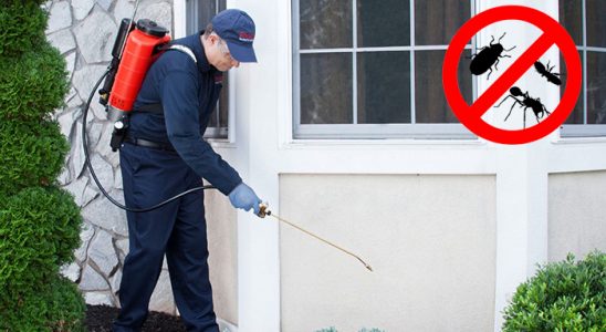 Geyve Kemirgen İlaçlama böcek ilaçlama ve haşere kontrolü — ilaclama-tr.com